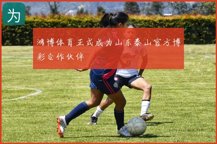 鸿博体育正式成为山东泰山官方博彩合作伙伴